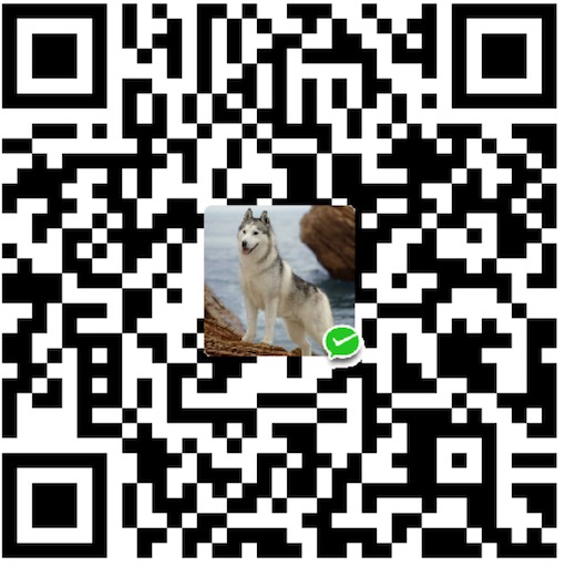 igding 微信支付